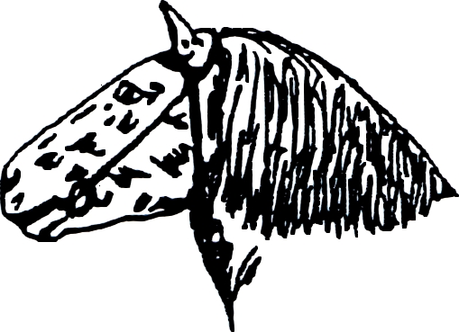 A60