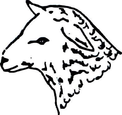 A61