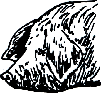 A63