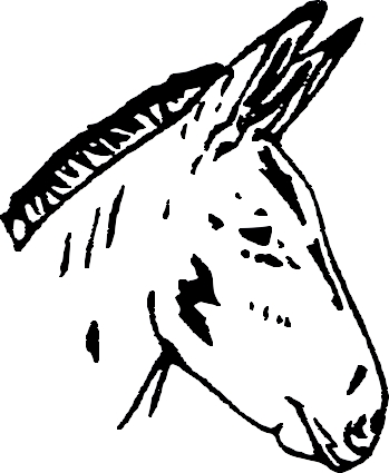 A64
