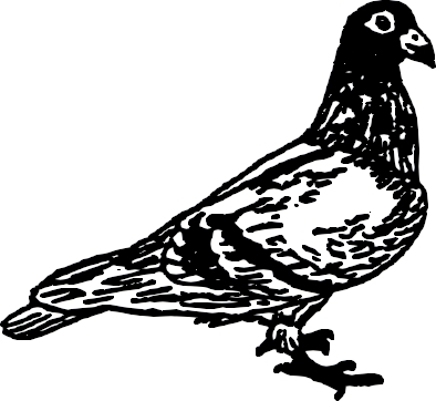AV64