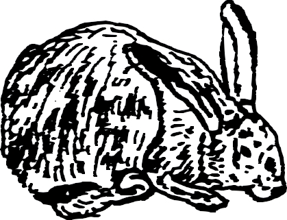 AV65
