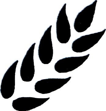 Blé