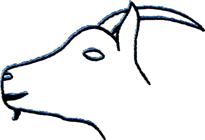 Bouc