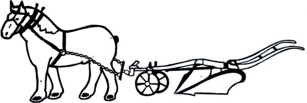 Cheval de trait attelé