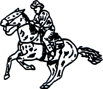 H43