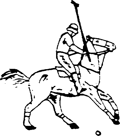 H46