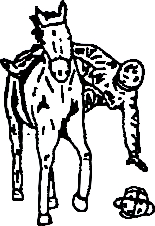 H49
