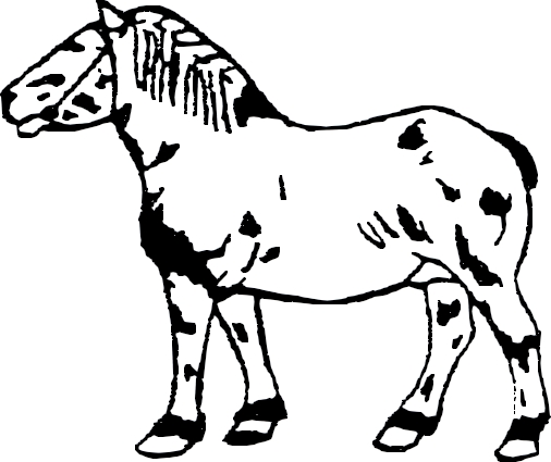 H52