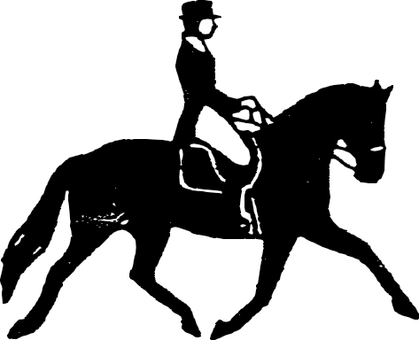 H54