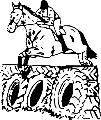 H61
