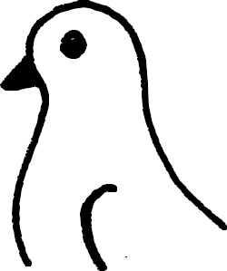 Pigeon