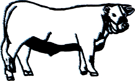 Taureau
