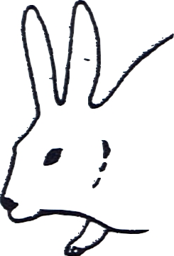 Tête de lapin