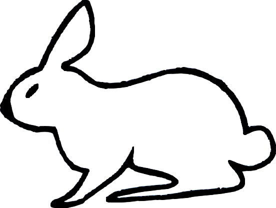 Lapin 2