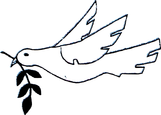 Oiseau 2