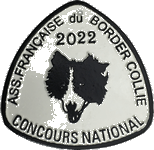 N°19