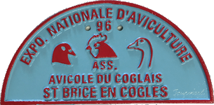 N°21