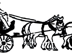 A19