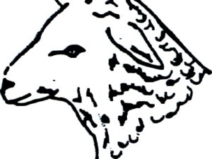 A61