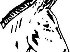 A64