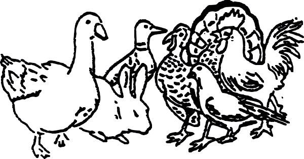 AV67