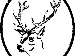 Cerf en médaillon