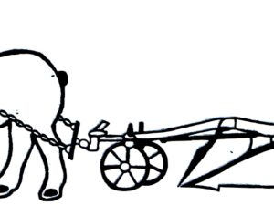 Cheval de trait attelé