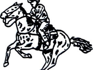 H43