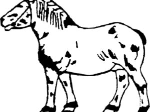 H52