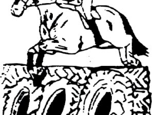 H61