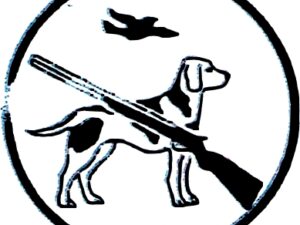 M16 bis