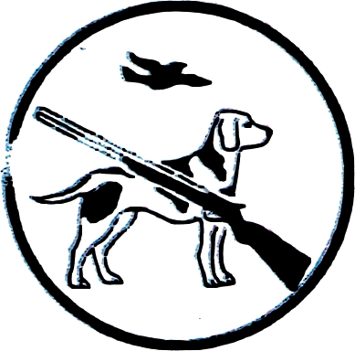 M16 bis