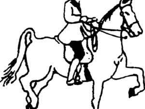 M7