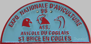 N°21