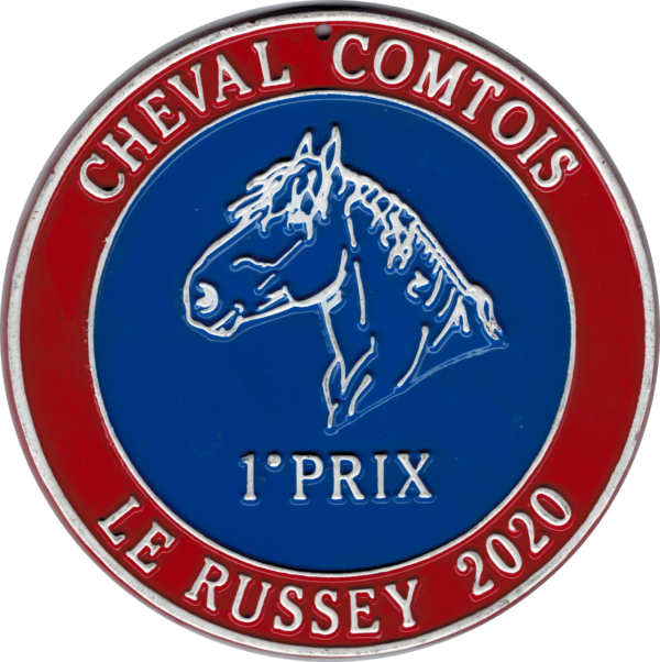 Plaque n°30