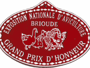 Plaque n°51a
