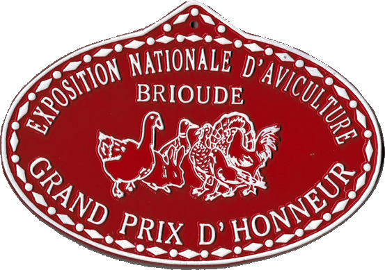 N°51