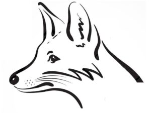 Renard