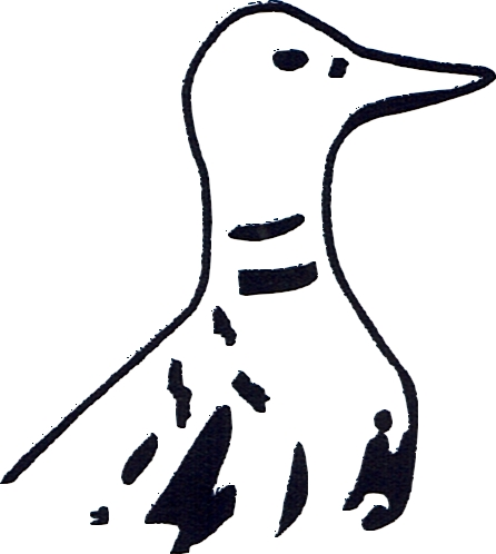 Canard 1