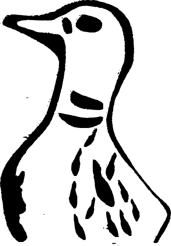 Canard 2