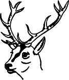 Cerf