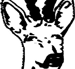 Chevreuil