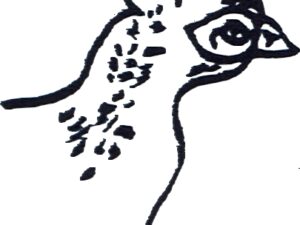 Faisan 1