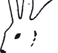 Tête de lapin