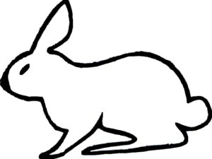 Lapin 2