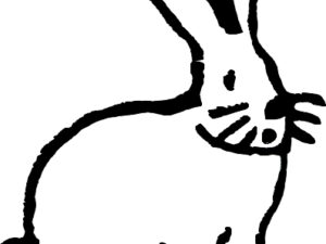 Lapin 3