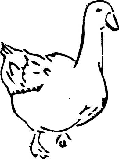 Oie