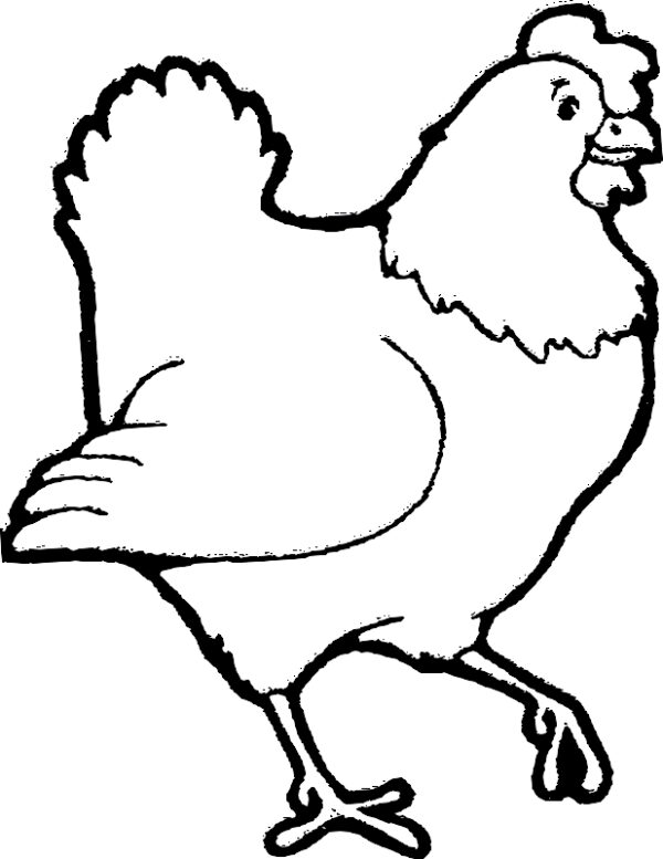 Poule