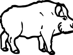 Sanglier